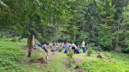 Historie Schwazer Silberwald